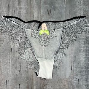 Rare 2013 VS eyelash Lace Panty sz L